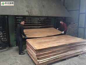 中木商网 一站式获取木材产品、价格、厂家、图片及更多资讯